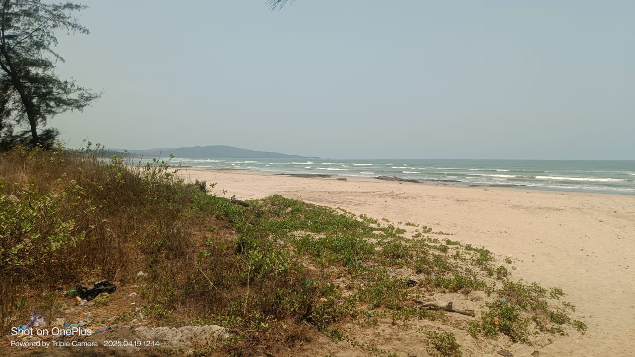 श्रीवर्धन वेळास समुद्रात बुडून तिघांचा मृत्यू