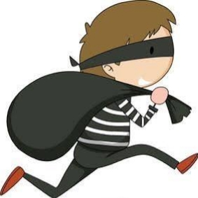 रायगड जिल्ह्यात चोरांचा धुमाकुळ 