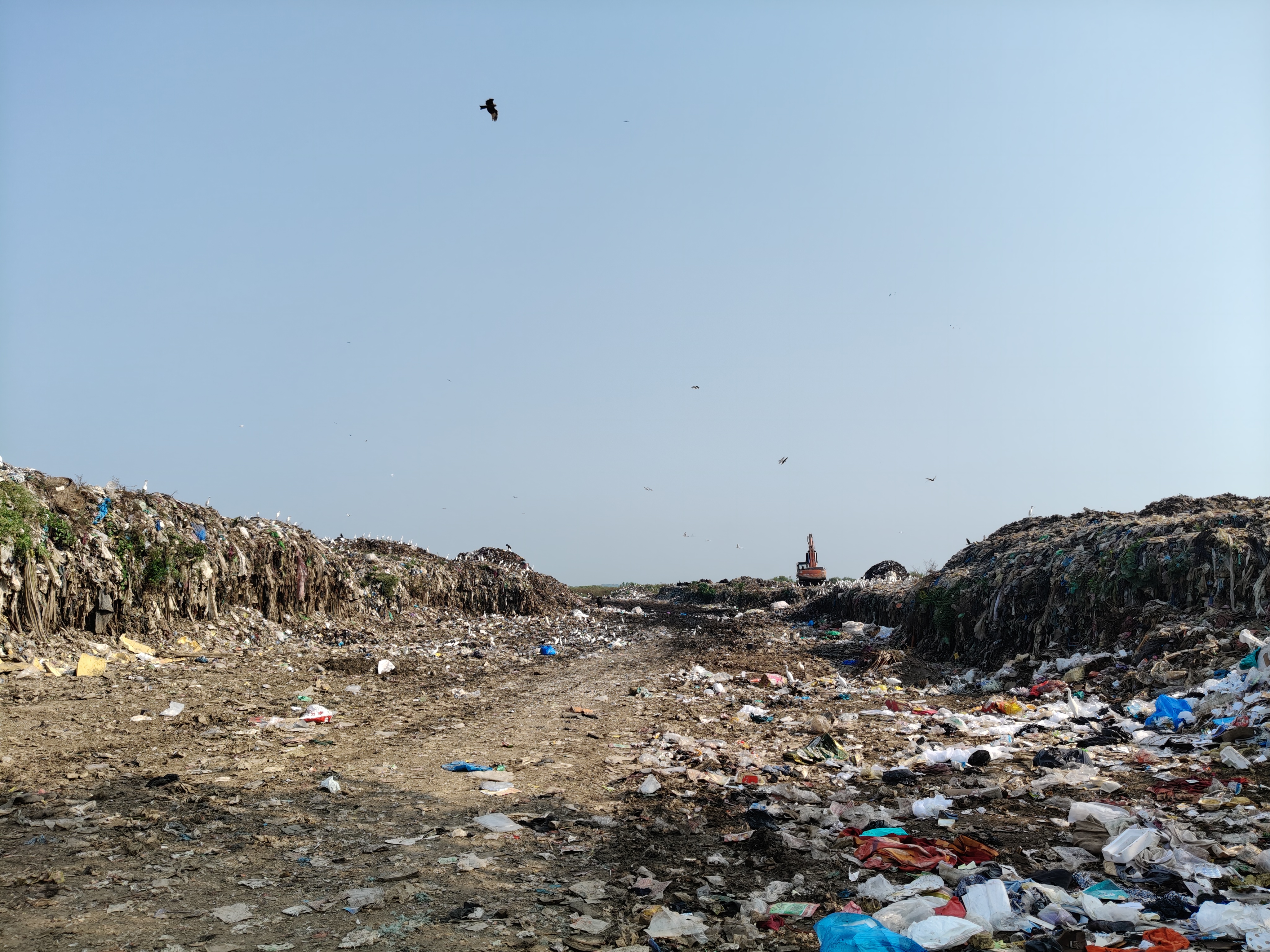 अलिबागचा डंपिंग ग्राउंडचा प्रश्न ऐरणीवर