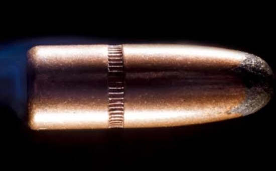 शिकार करताना गोळी लागल्याने सहकारी तरुणाचा मृत्यू