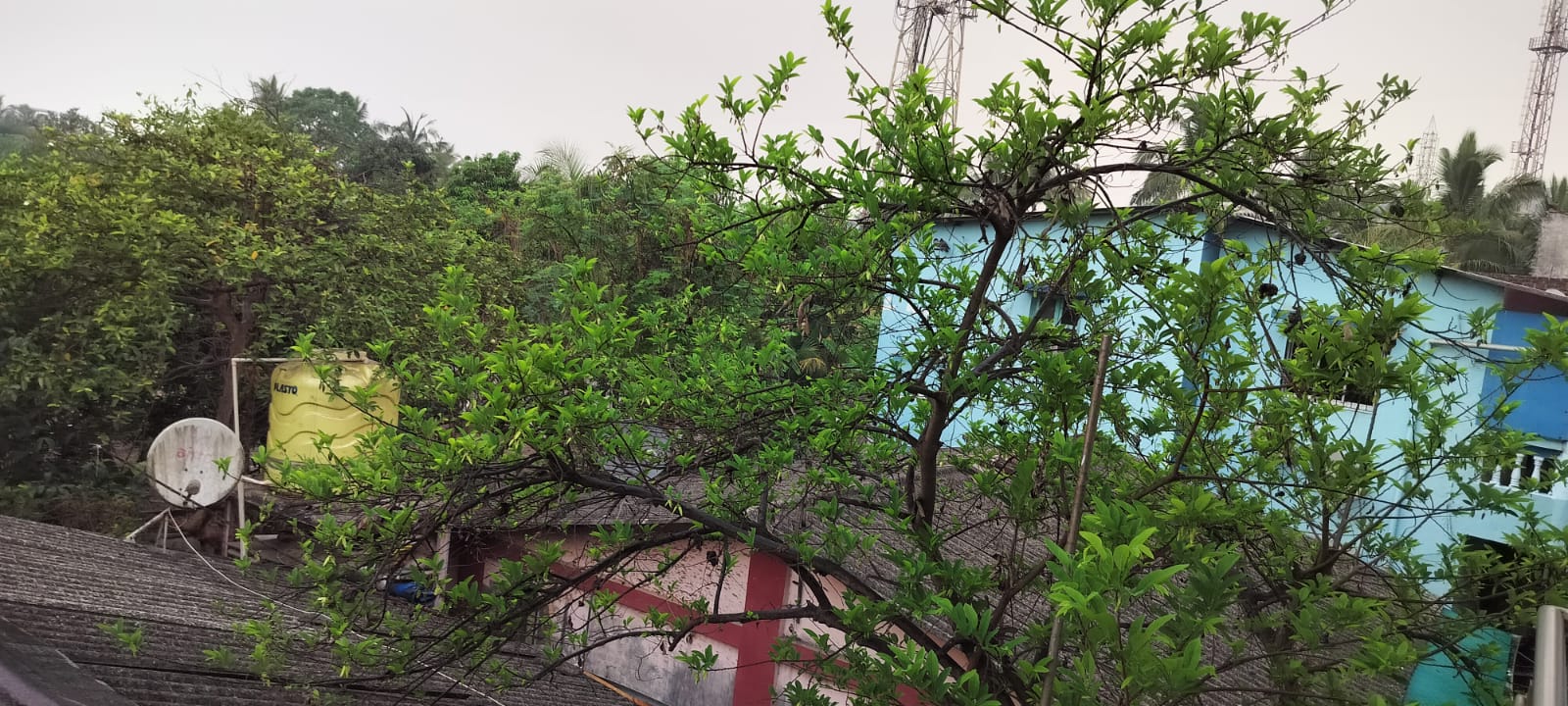 जिल्ह्यात अवकाळी पाऊस