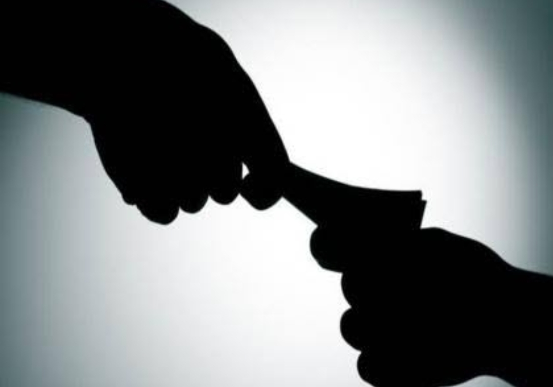 लाचेची मागणी करणाऱ्या पोलादपूर तहसीलदारांविरोधात गुन्हा दाखल 