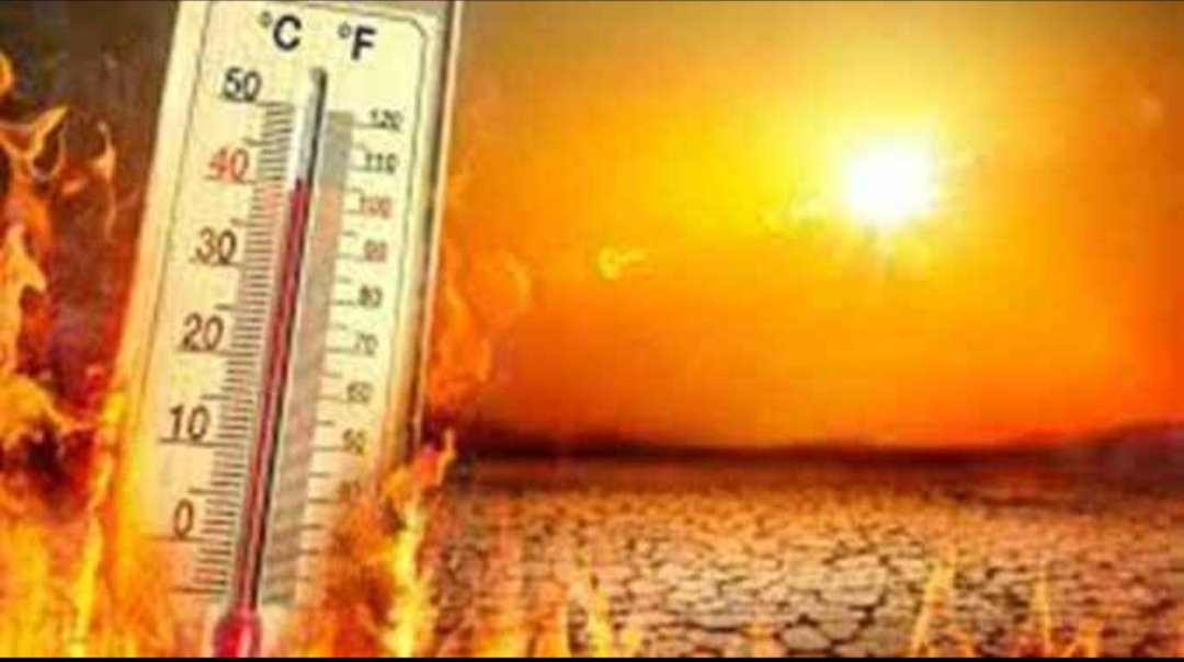 राज्यात उष्णतेची लाट