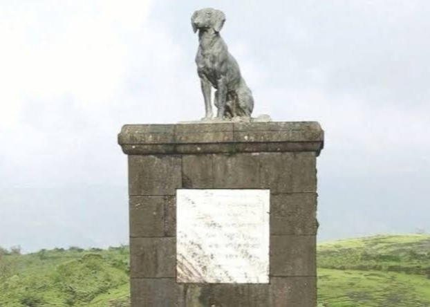वाघ्या श्वानाची समाधी रायगडावरून हटविण्याची मागणी