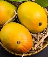 १ हजार ८४५ आंबा बागायतदारांनी मिळविले जीआय टॅग